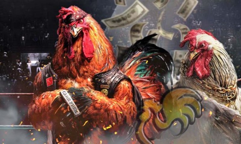 điều khoản và điều kiện tham gia cpc388