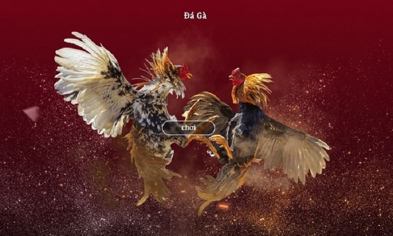 Quy định về bảo mật thông tin dành cho thành viên cpc388.